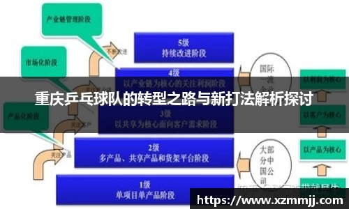 重庆乒乓球队的转型之路与新打法解析探讨